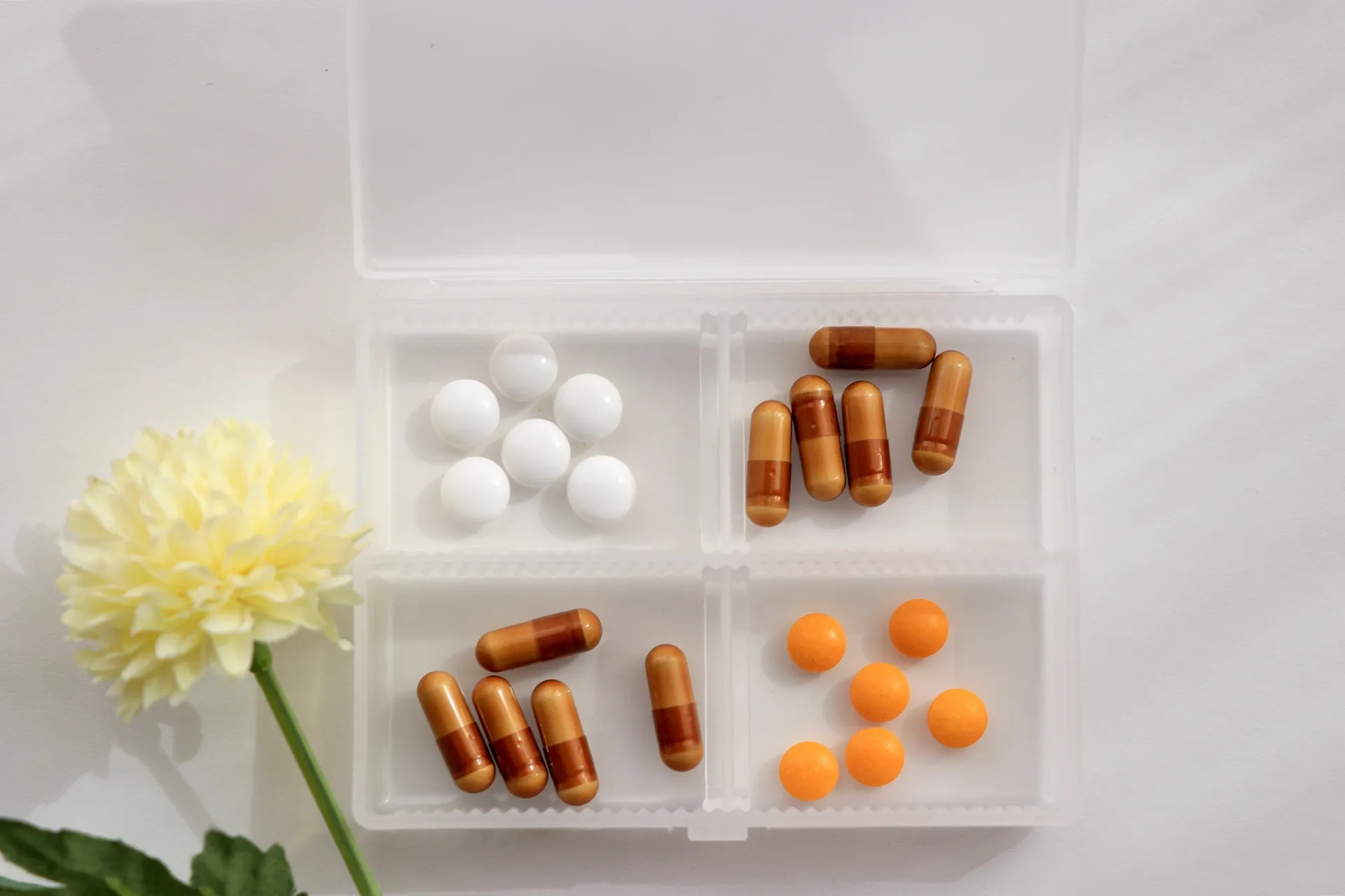 流行で選んでいい？NMNサプリメントの判断の視点を整理